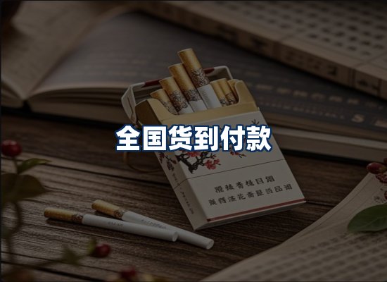 专业团队办公环境